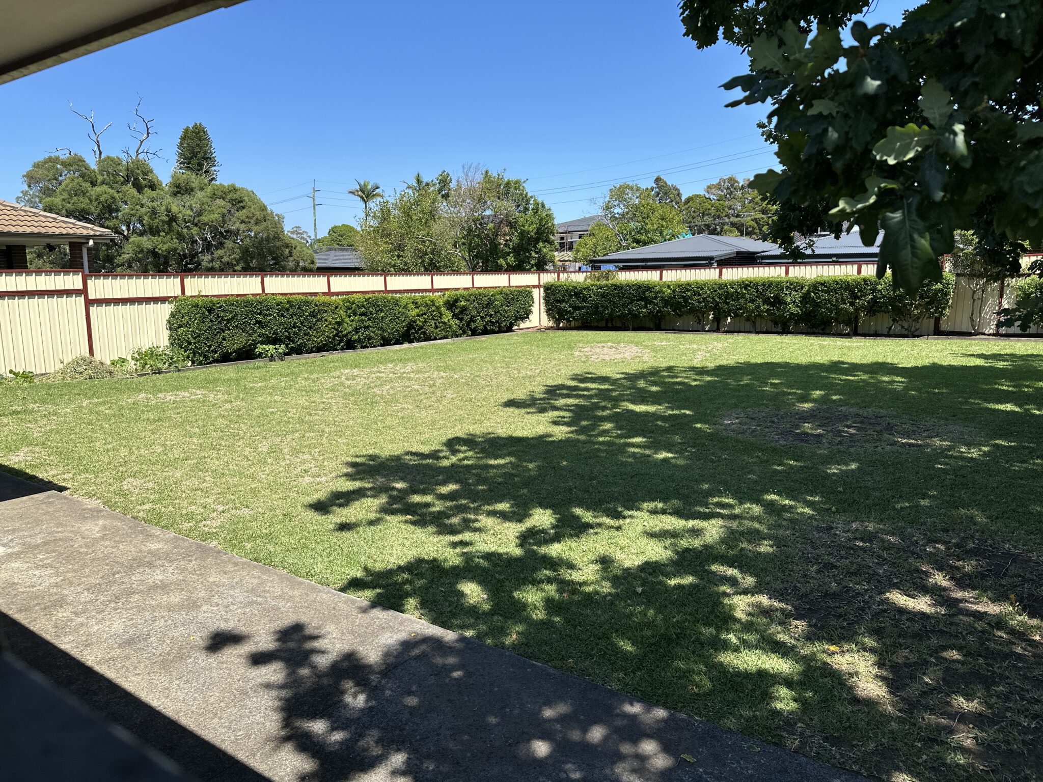 Revesby Disability housing