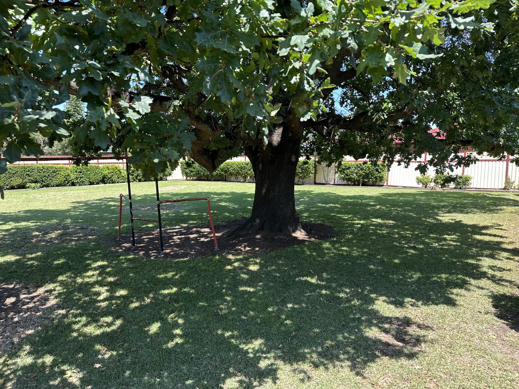 Revesby Disability housing